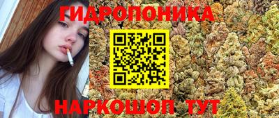 мдма Кандалакша