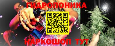 ПСИЛОЦИБИНОВЫЕ ГРИБЫ Камышлов