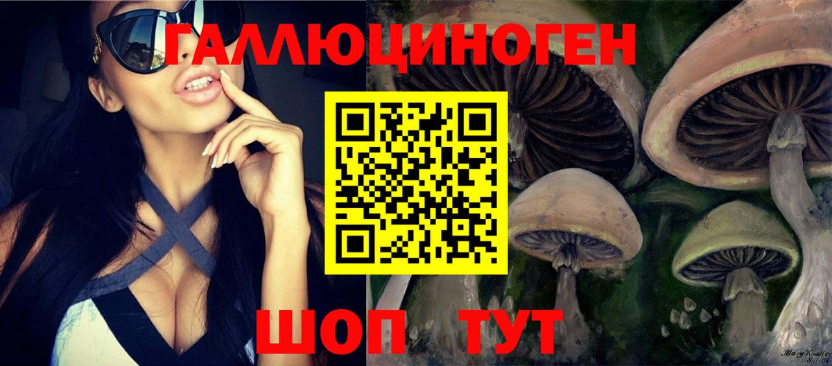 Севастополь  Галлюциногенные грибы Magic Shrooms  Вход с VPN 
