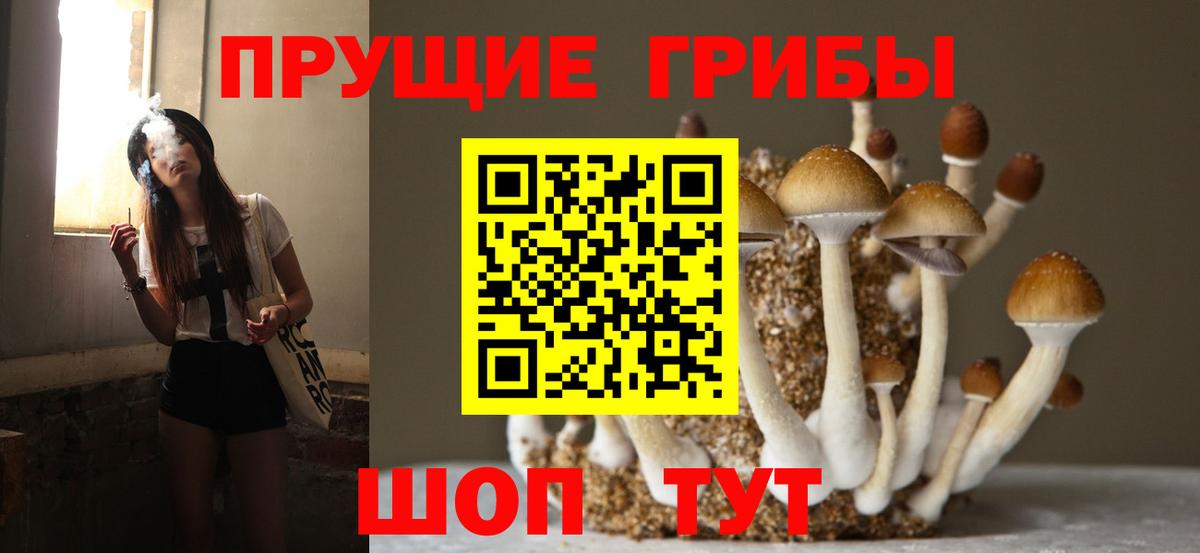 Псилоцибиновые грибы мицелий Севастополь